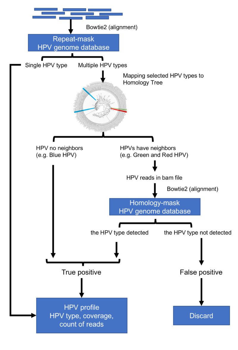 Github Yuhanh Hpviewer - Abstract Picture Collection - Full HD Quality
