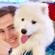 Sirenceladus Philipp Github - Professional Dark Background - 4K