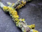 Unknown-3