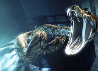 Метаклассы и метапрограммирование в Python
