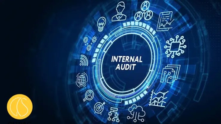 internal audit