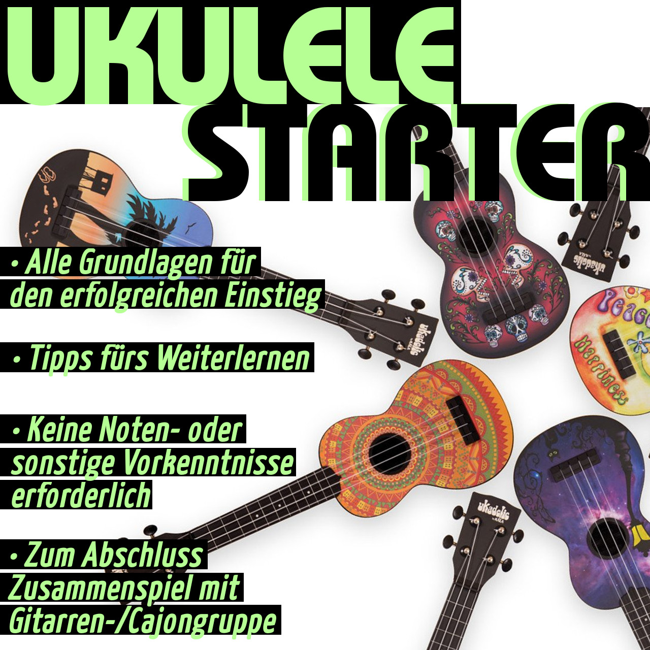 Ukulele Starter Workshop Neuer Termin Folgt Gitronik Shop UKULELE STARTER fr absolute Anfnger.