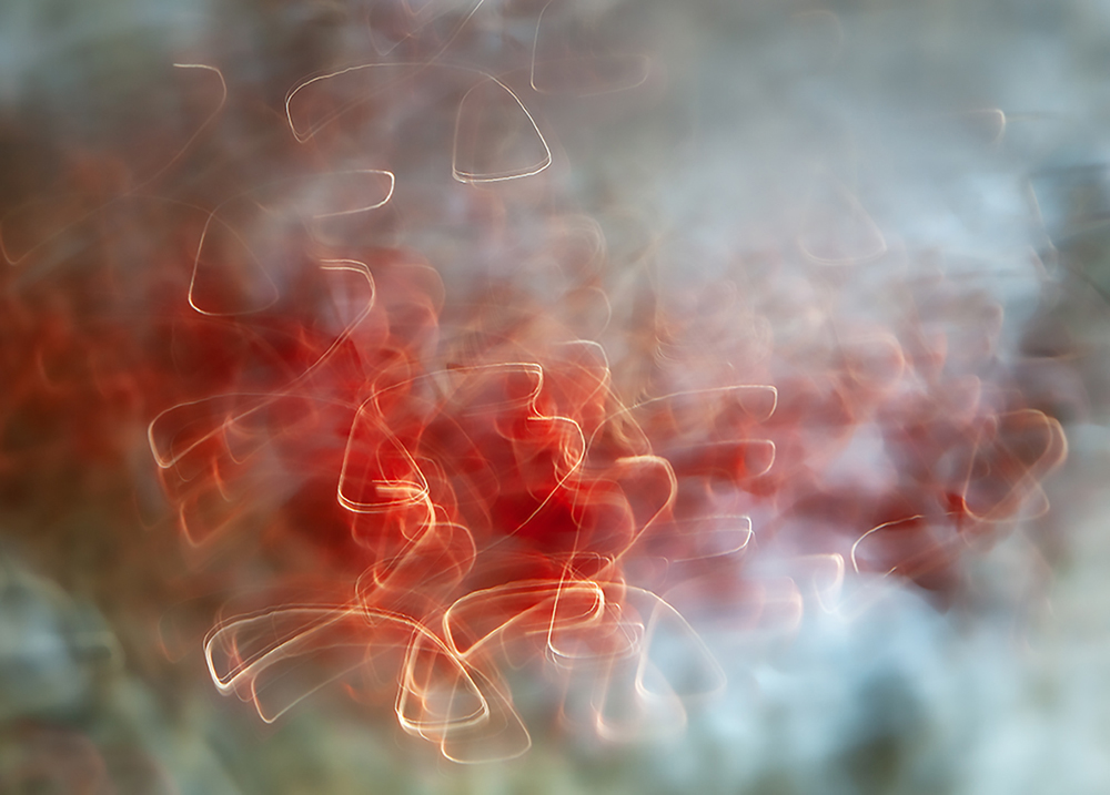 Happamia - Minna Scheinin