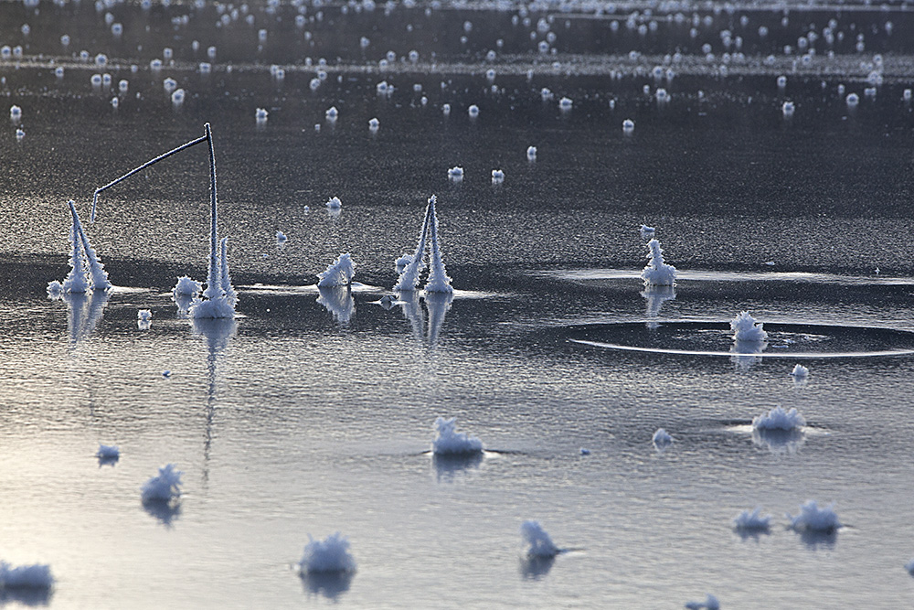 Ice - Minna Scheinin