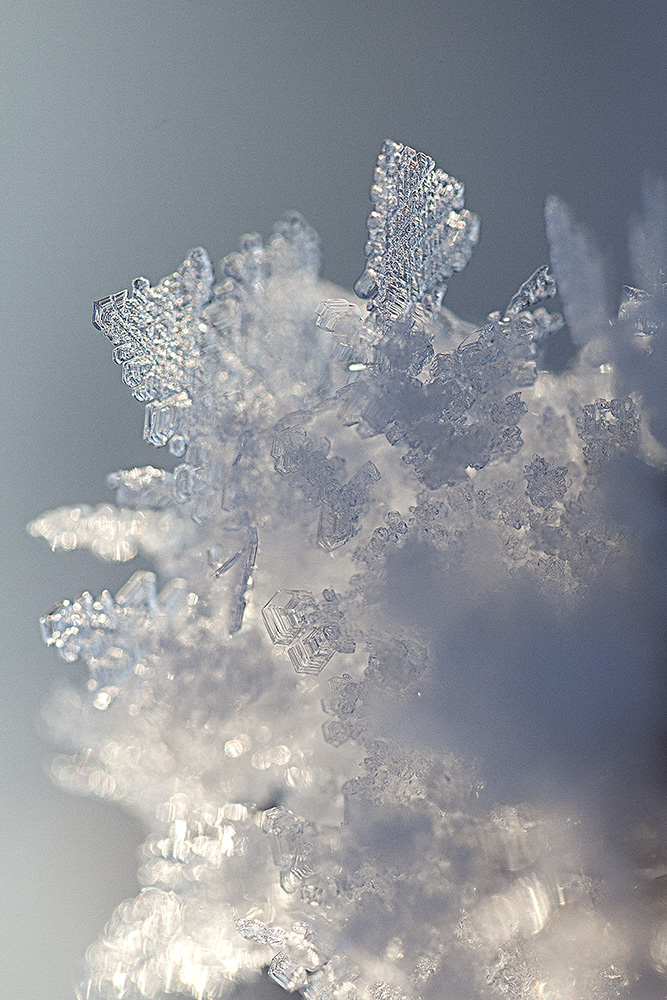 Ice - Minna Scheinin