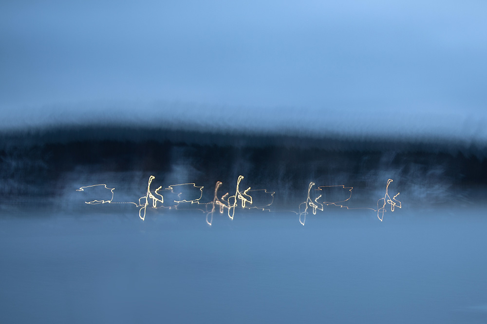 Lights - Minna Scheinin