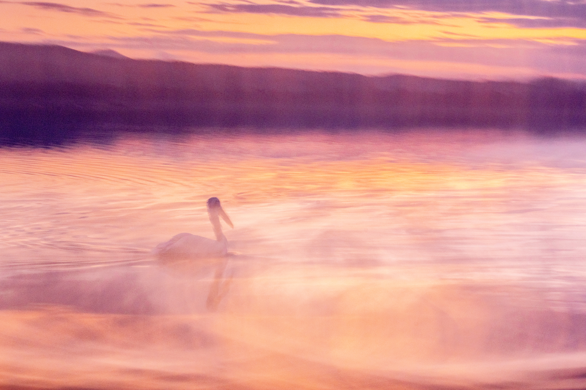 Kaisa Sirén - Pelican Brief