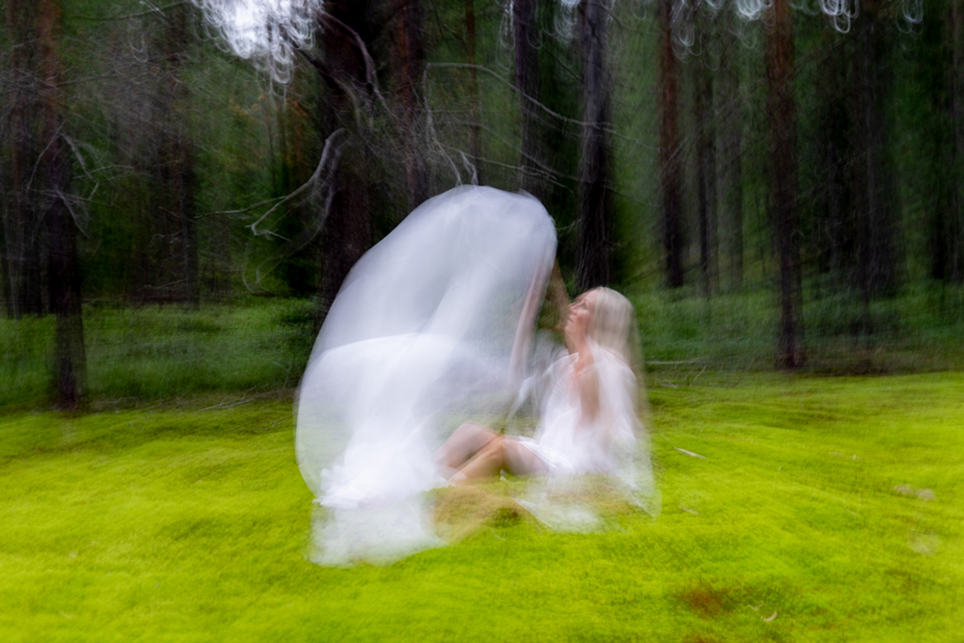 Kaisa Sirén - Dream