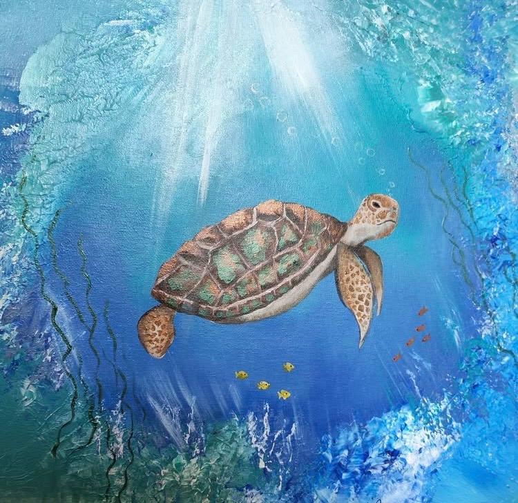 Jasmin Pasin - Turtle