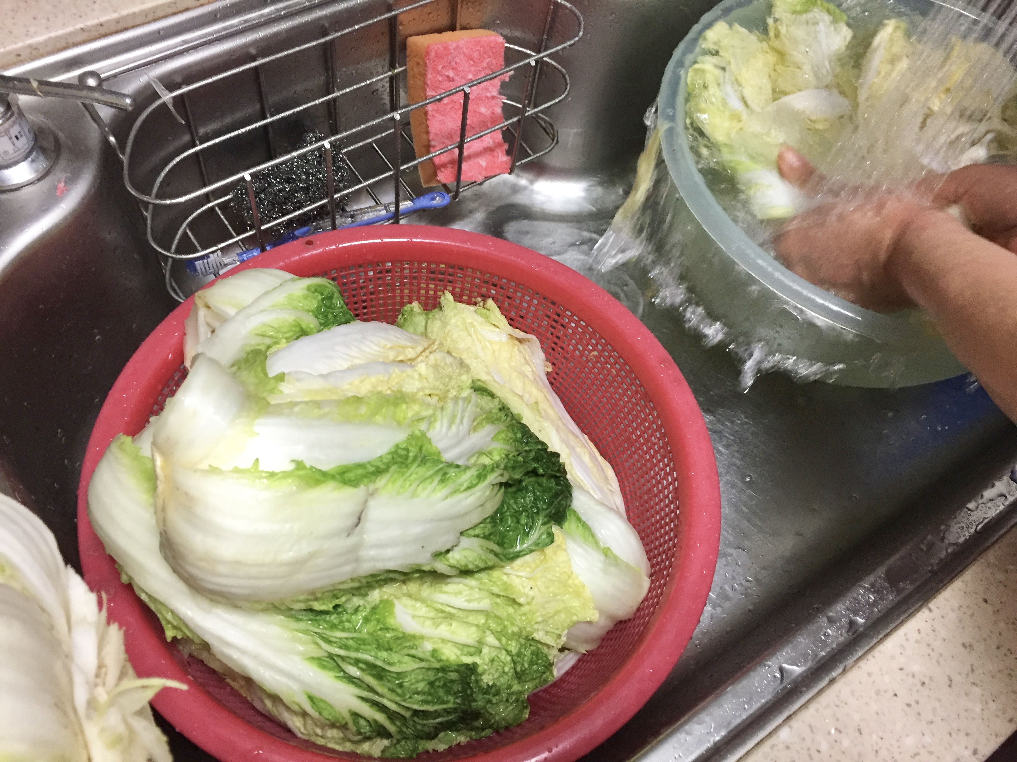 5. Let sit to allow cabbage leaves to wilt.