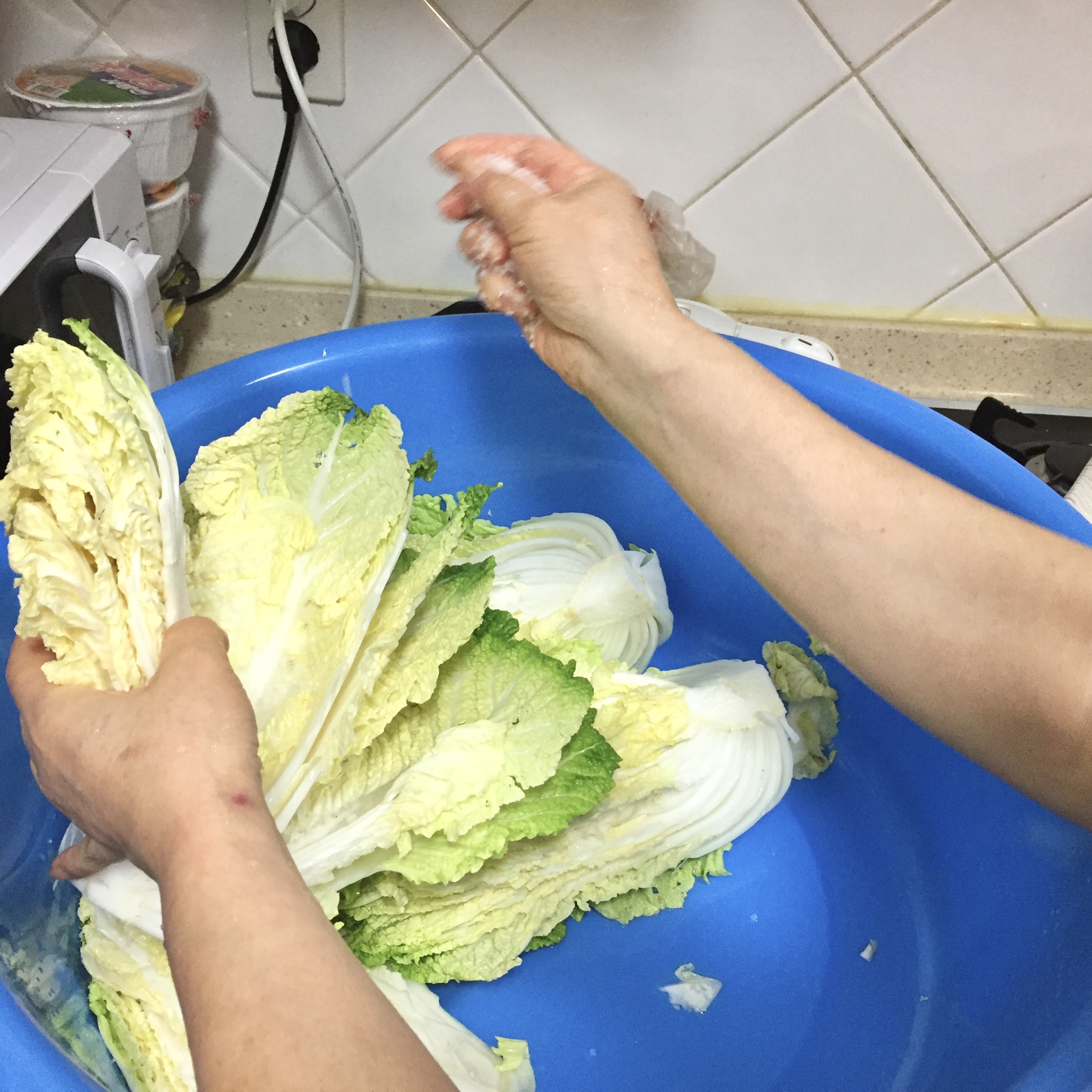 4. Toss salt in between cabbages leaves.