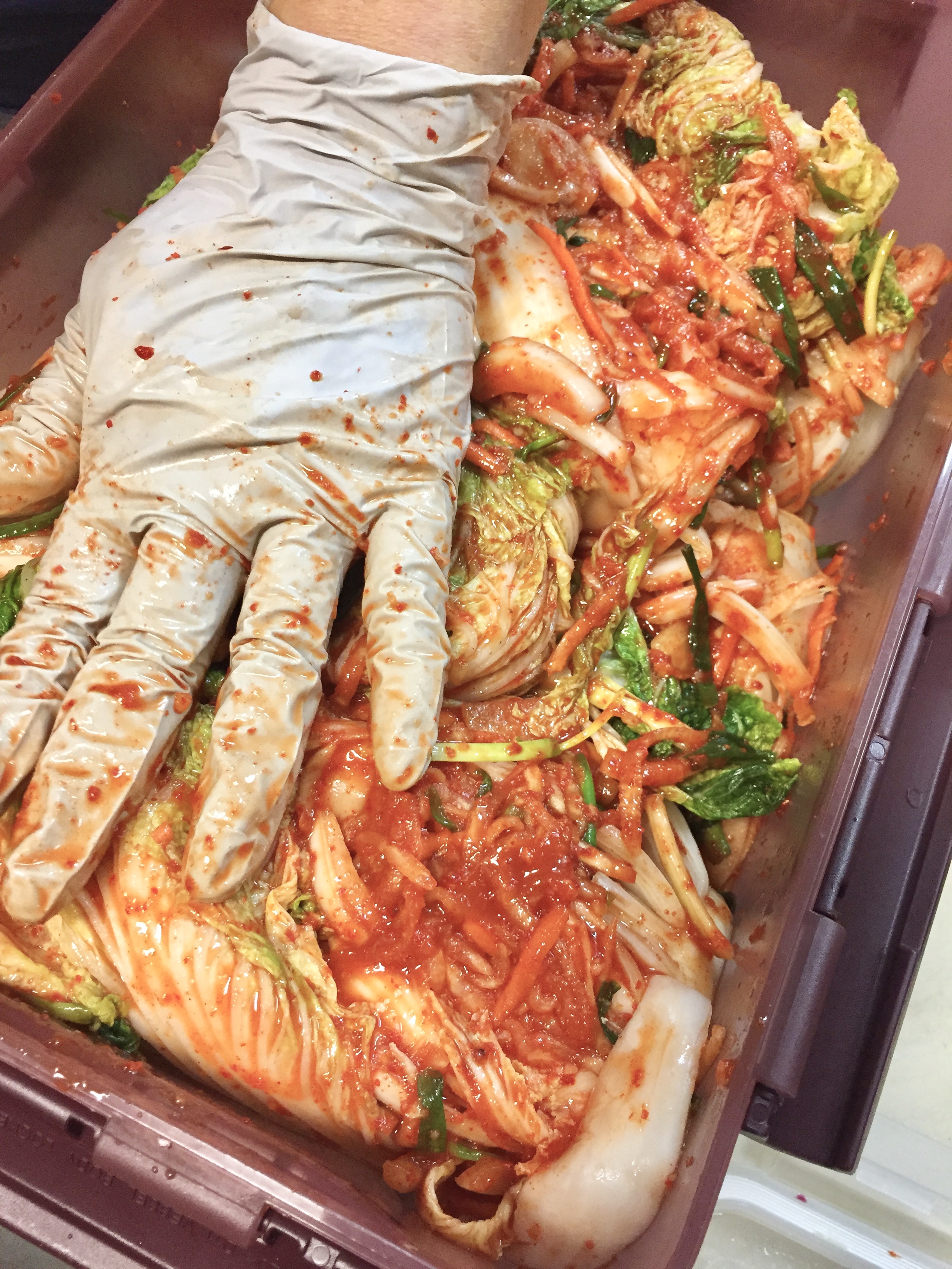 11. Let sit overnight to ferment.