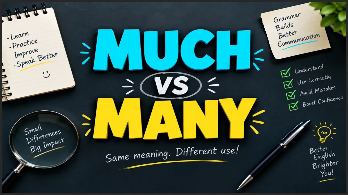 Much vs Many Exercises with Answers