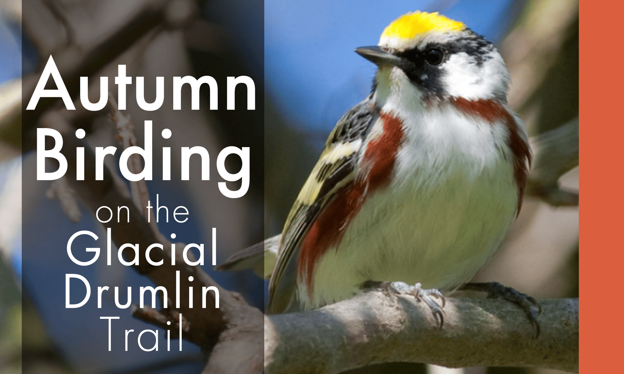 Glacial Drumlin State Trail Visitors Guide GDT Homepage Slideshow Autumn Birding.
