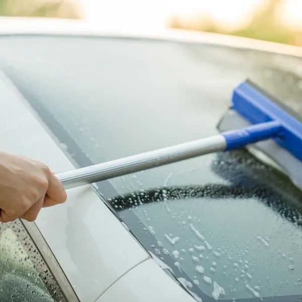 How to Get Tree Sap Off of Windshield - Fast Solutions