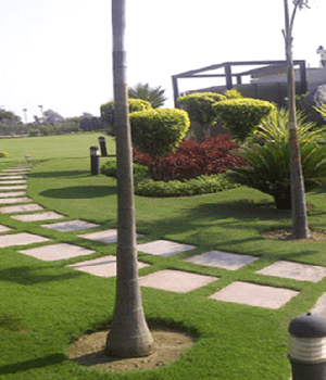 Gardening can be extremely enjoyable for people of all ages and different walks of life. Farm House Garden Landscapers Developers