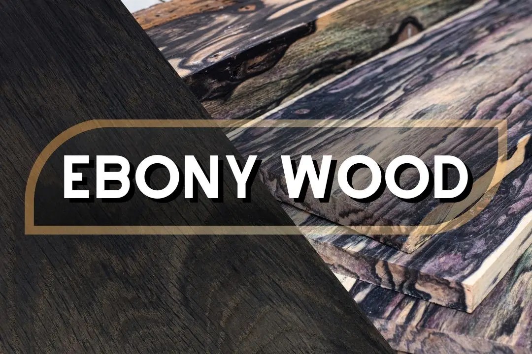 Ebony wood: a guide to this premium hardwood