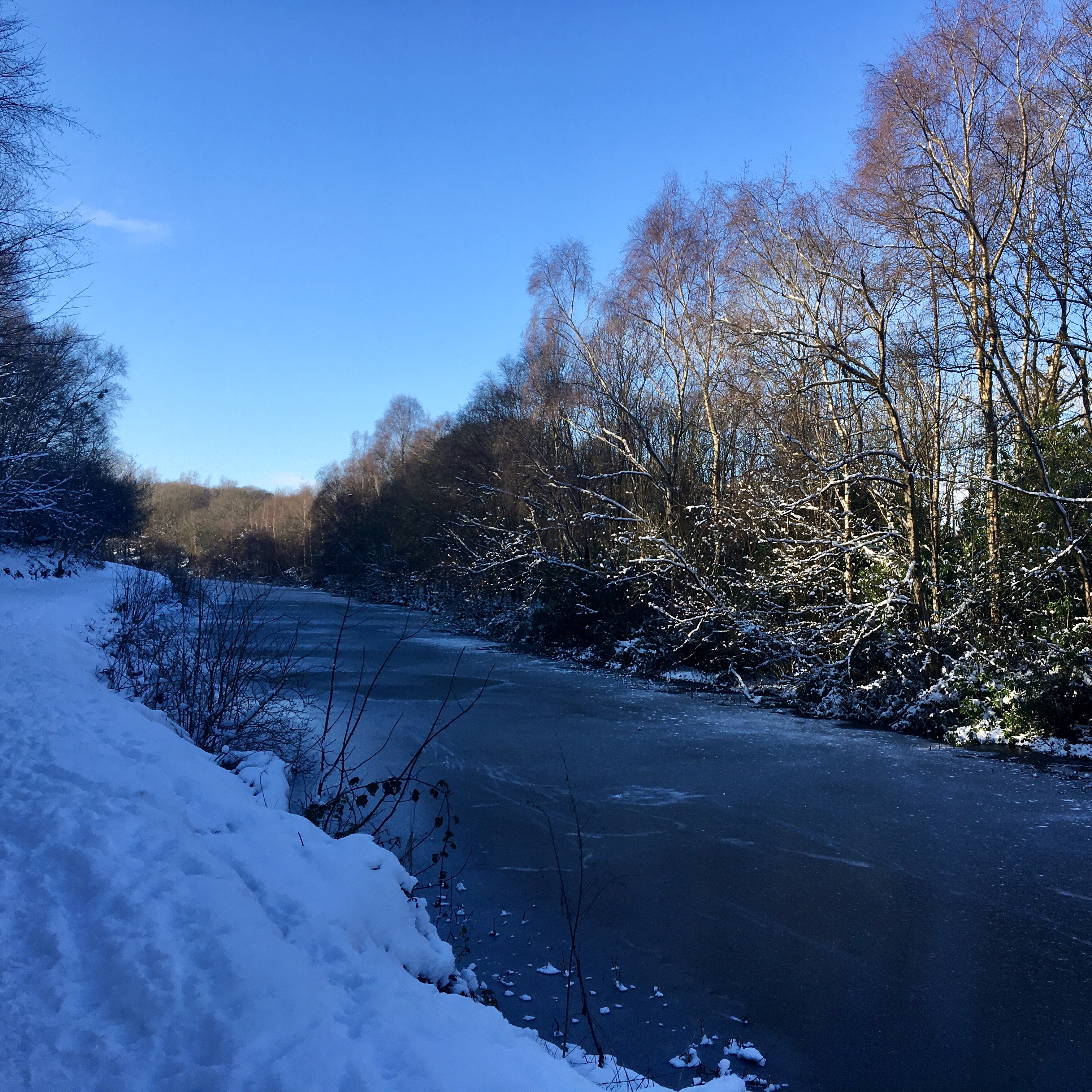 Forth and Clyde Canal