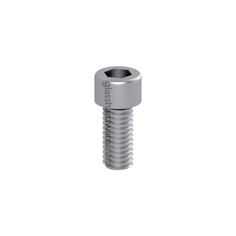 Screw Hexagon Socket Cap (M8)