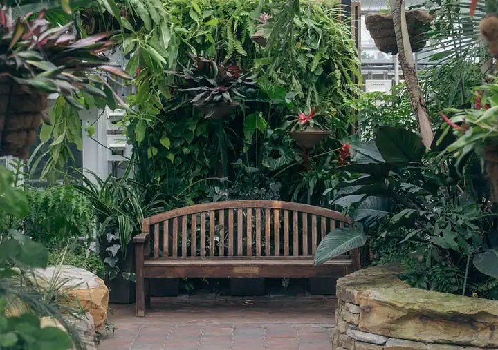 A beautiful wooden bench awaits in a lush green area, looking cooling and peaceful.