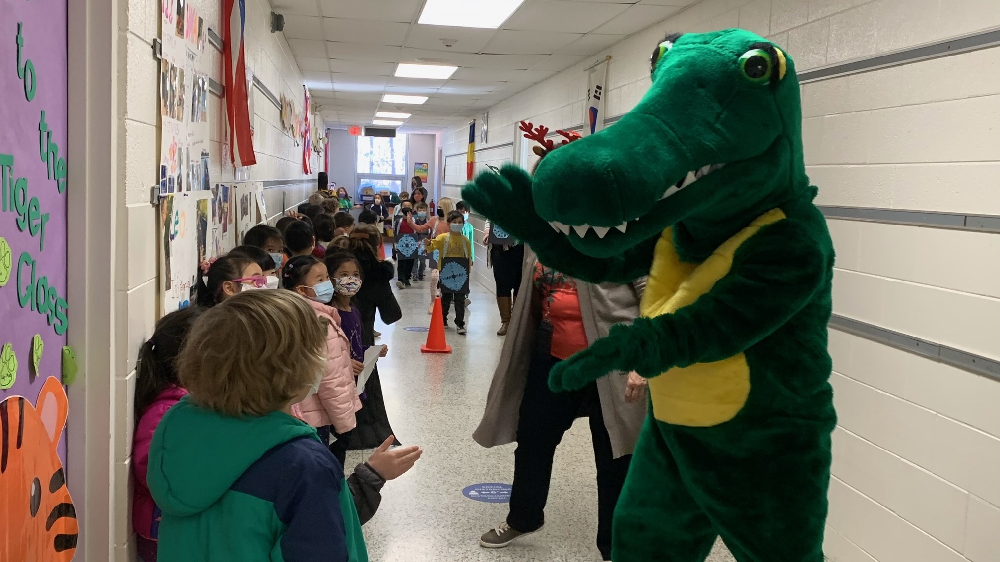 Gator mascot giving high fives
