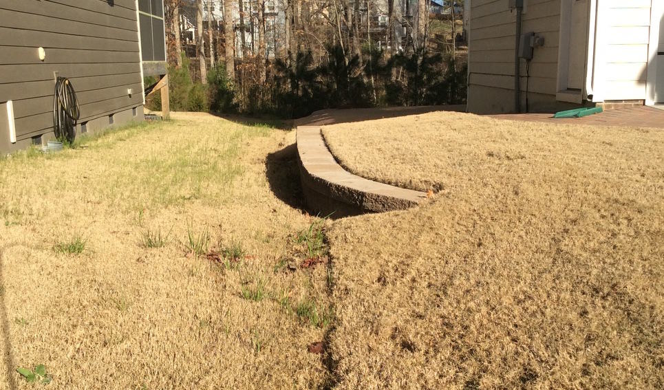 The warm temps have allowed it to green up a bit down low. Why is my neighbor's lawn green and mine is not?