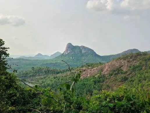 পুরুলিয়ায় বিরল খনিজের সন্ধান: NOC দিল সরকার, শুরু হচ্ছে খনি নিলাম প্রক্রিয়া