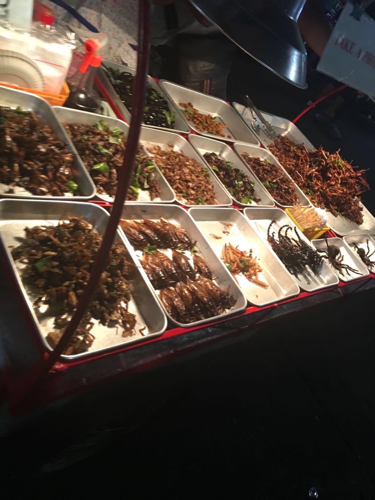 Fried Insects Bangkok