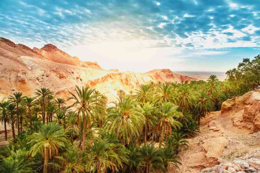 Chebika Tunisia