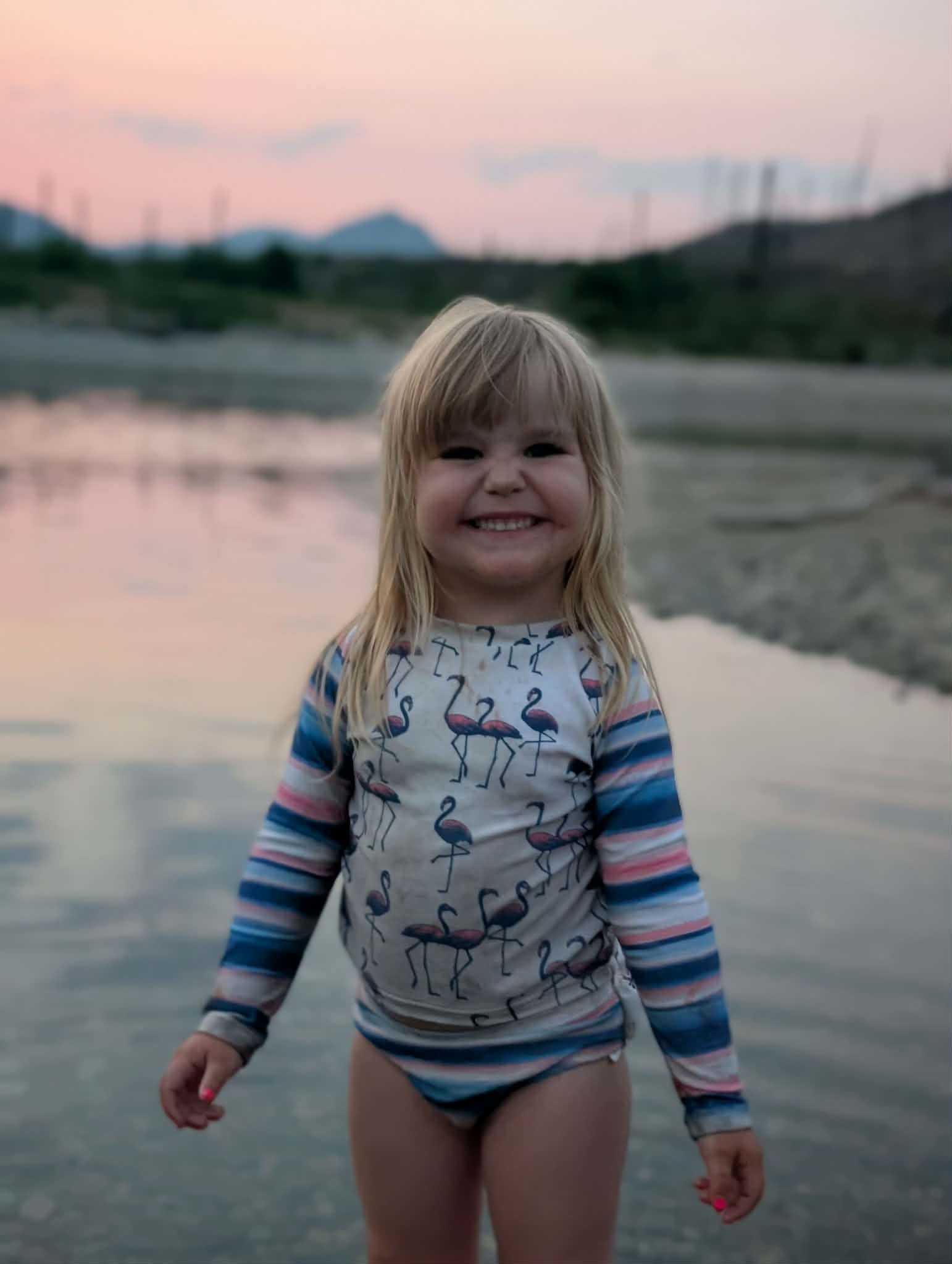 Bear Attack in Maple Ridge: Search for the Culprit Continues (2026)