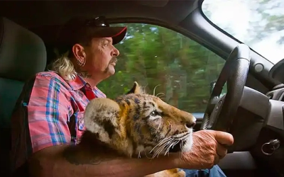 The Problem With Tiger King