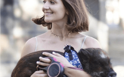 Pets For Mental Wellbeing Month 2023 – Weekly Recap #2