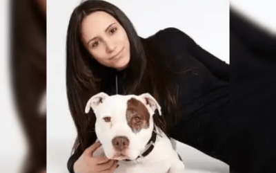 Lessons Learned From Global Strays Staff