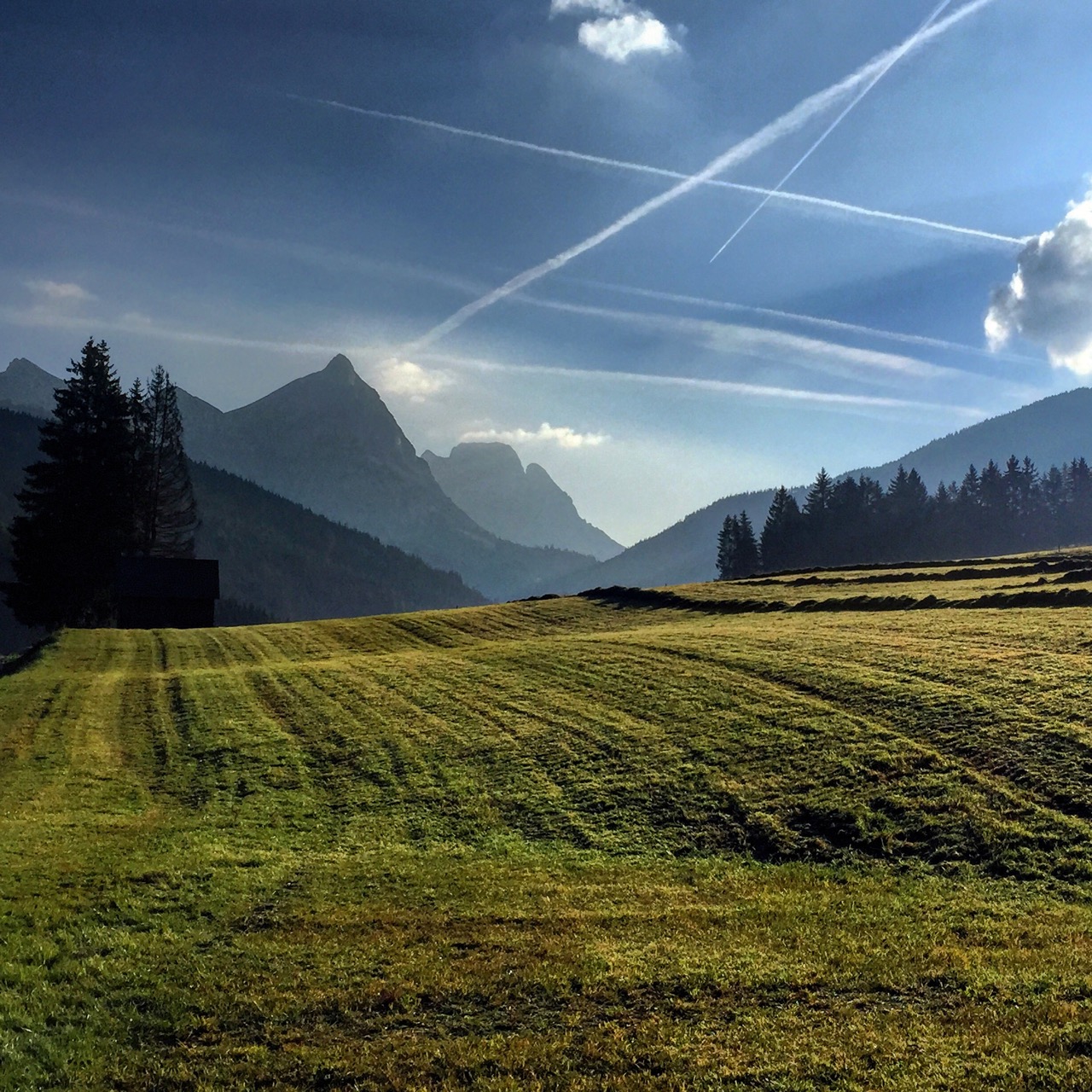 Hayfields near Admont, Austria.