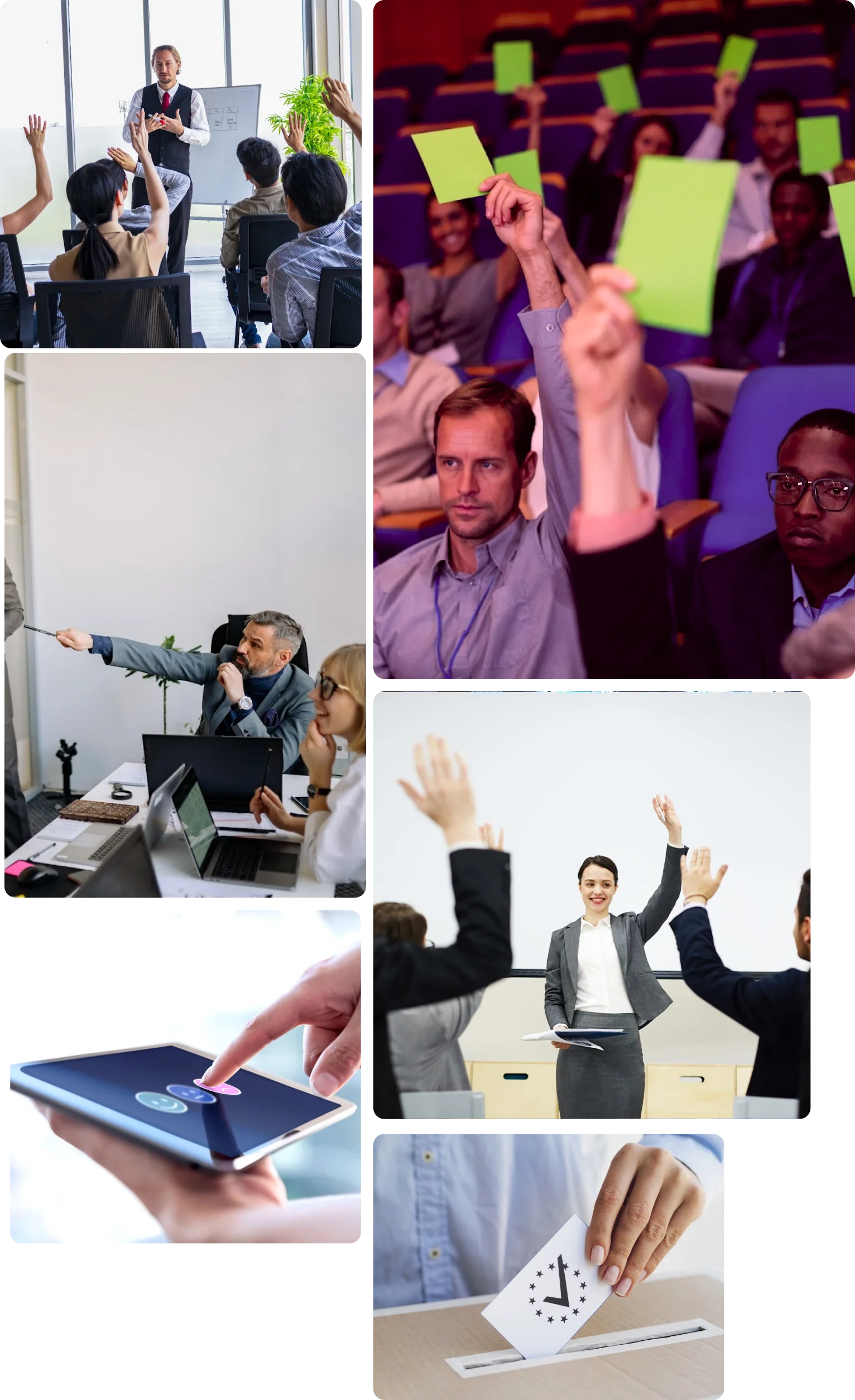 Globibo Team Building