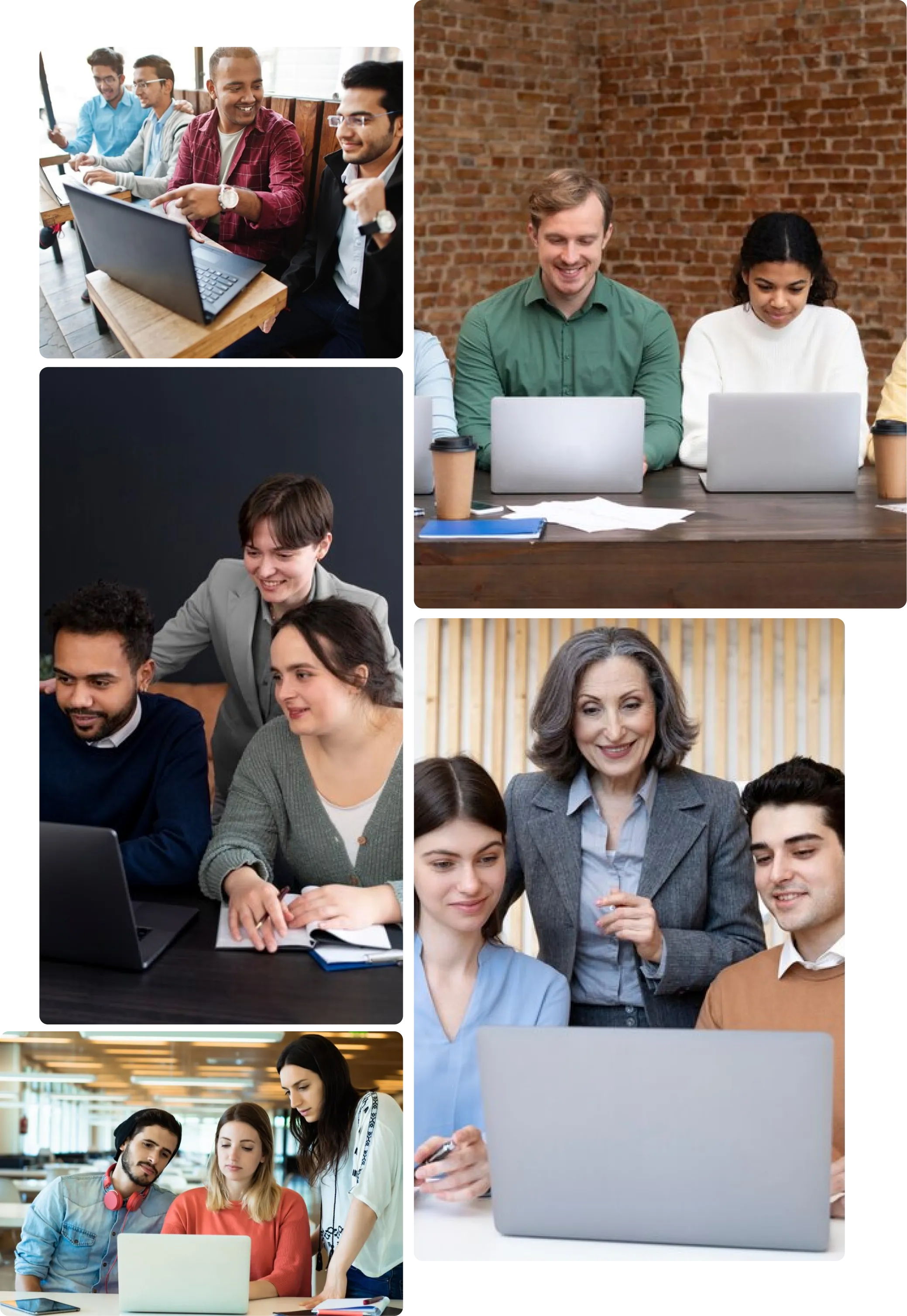 eLearning Development Service