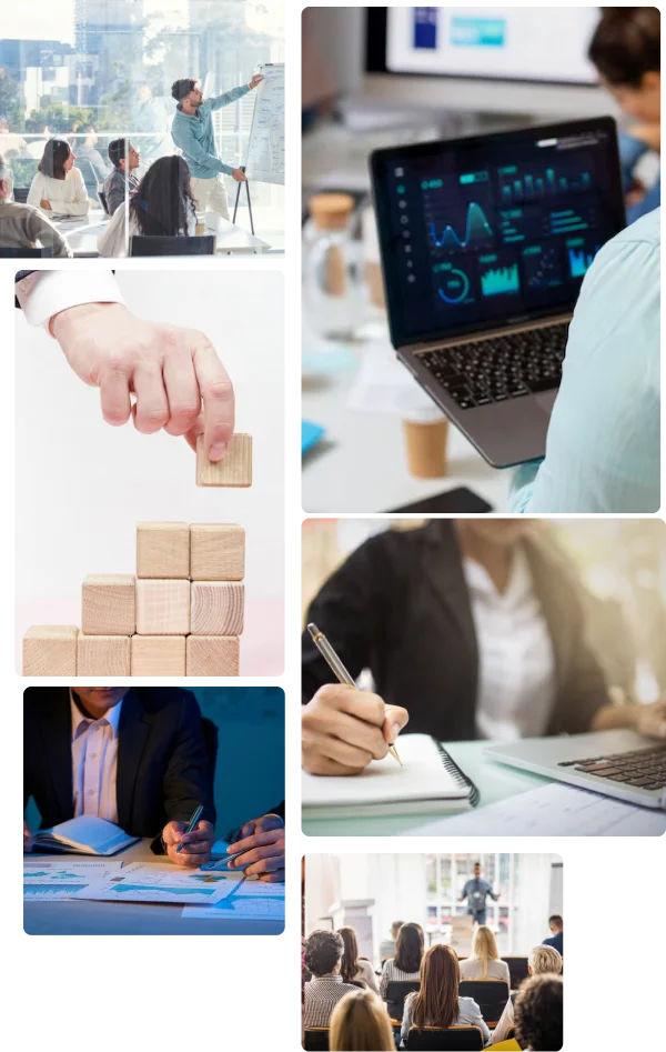 Arts & Entertainment