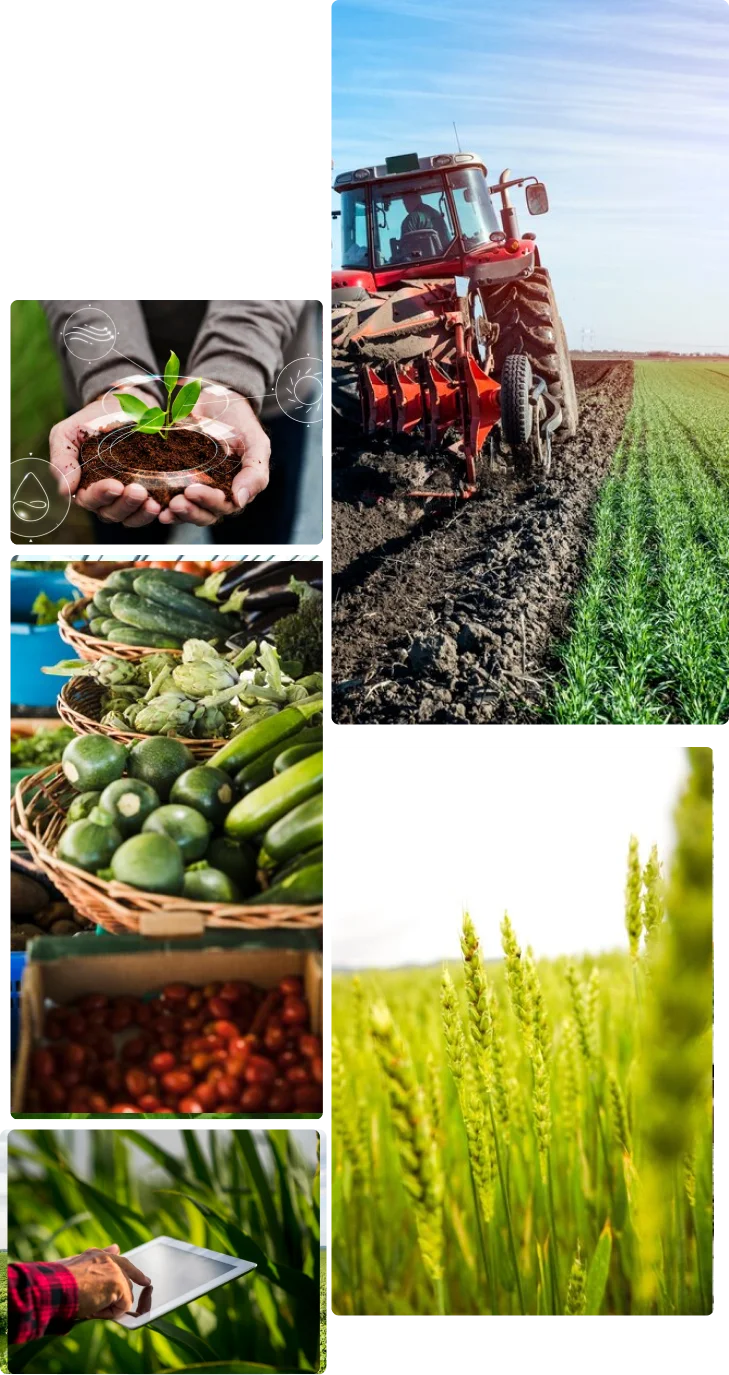 Agriculture Training