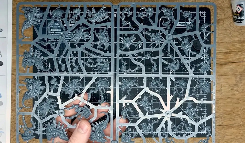 Neurogaunt  barbgaunt sprue