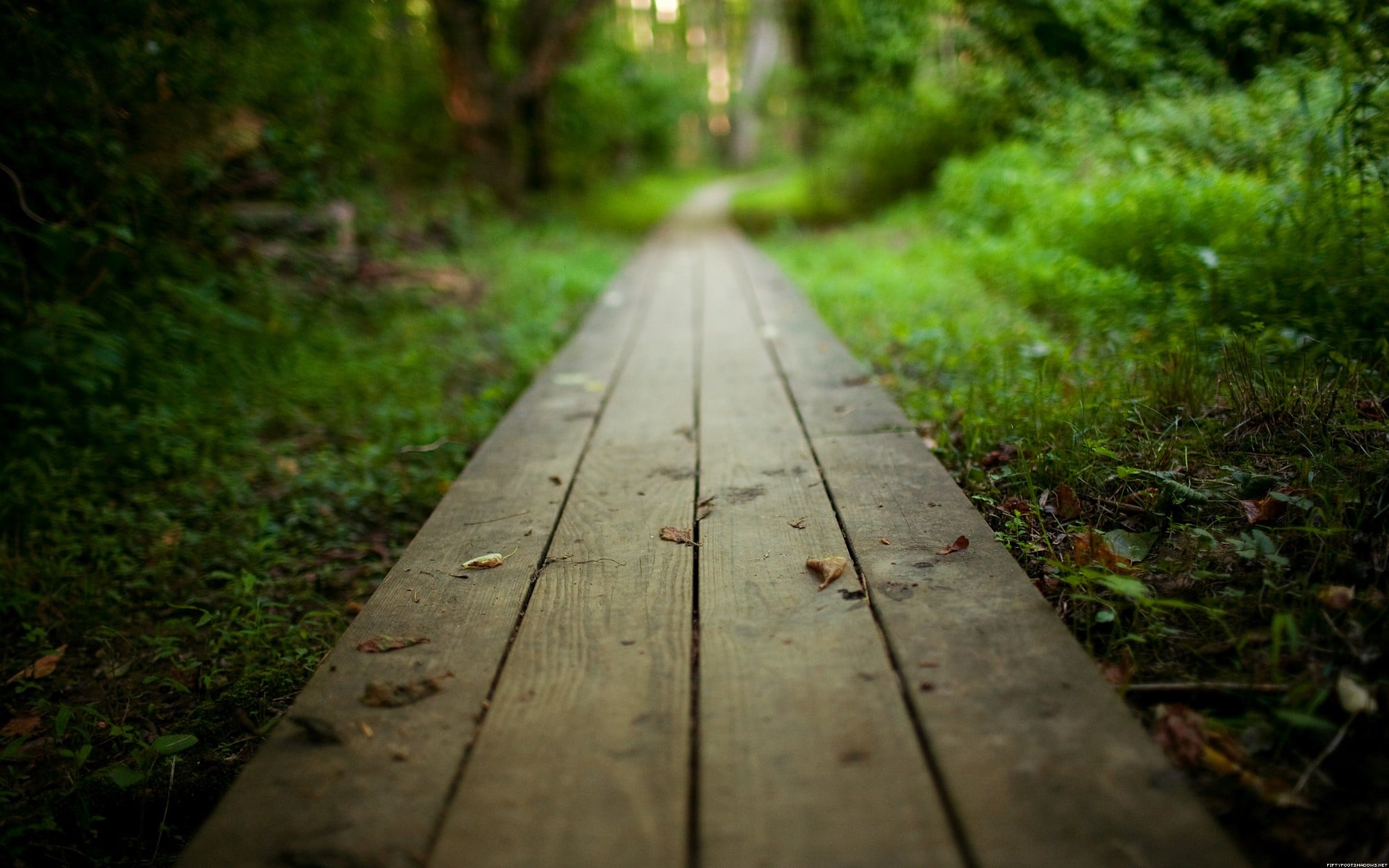 path