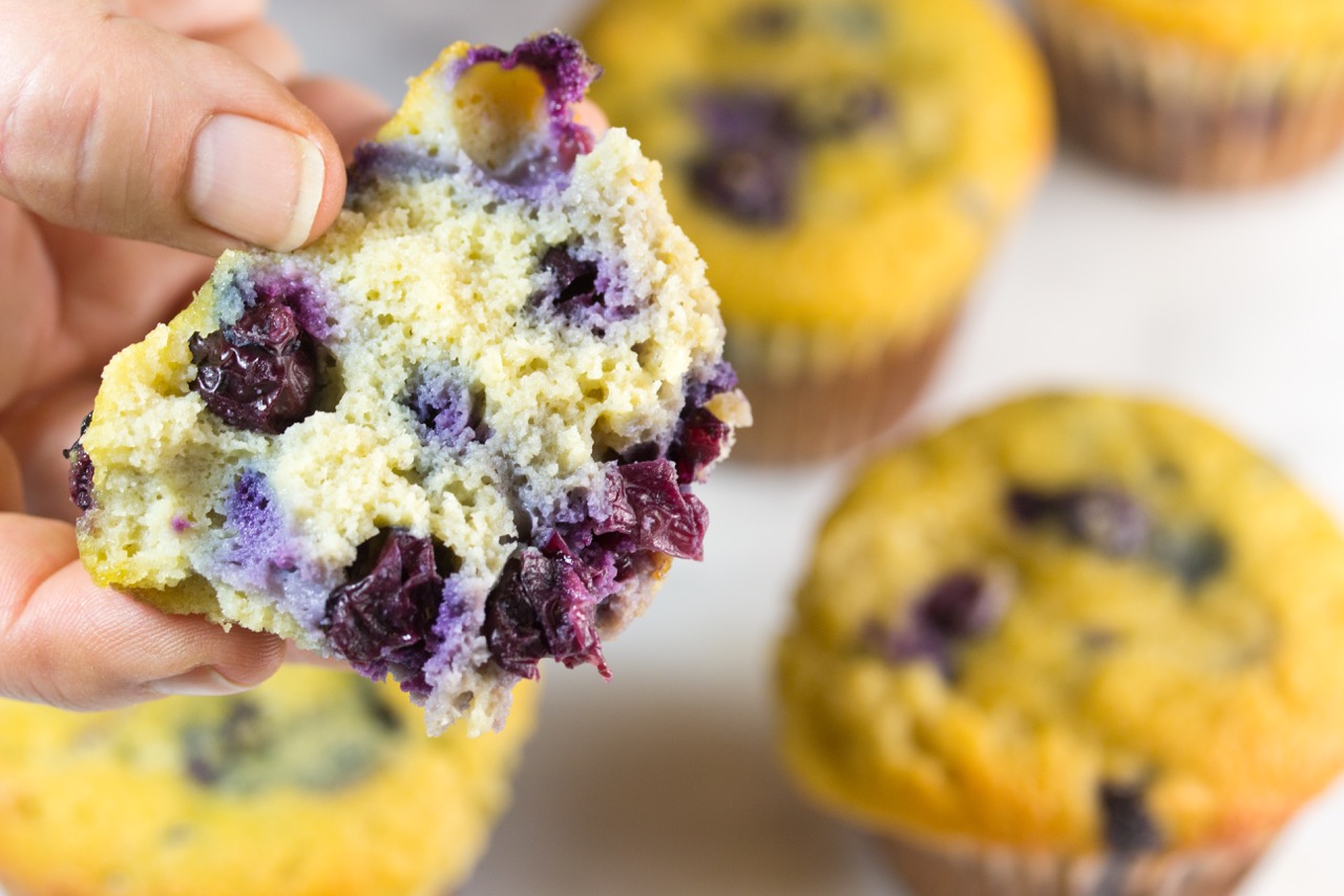 Grain-free, Blueberry Muffins, gluten free muffin, paleo muffin, coconut flour, organic berries