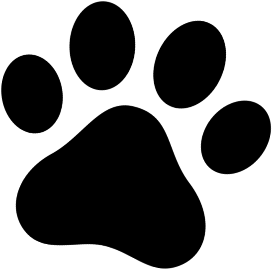 Dog Friendly Outside