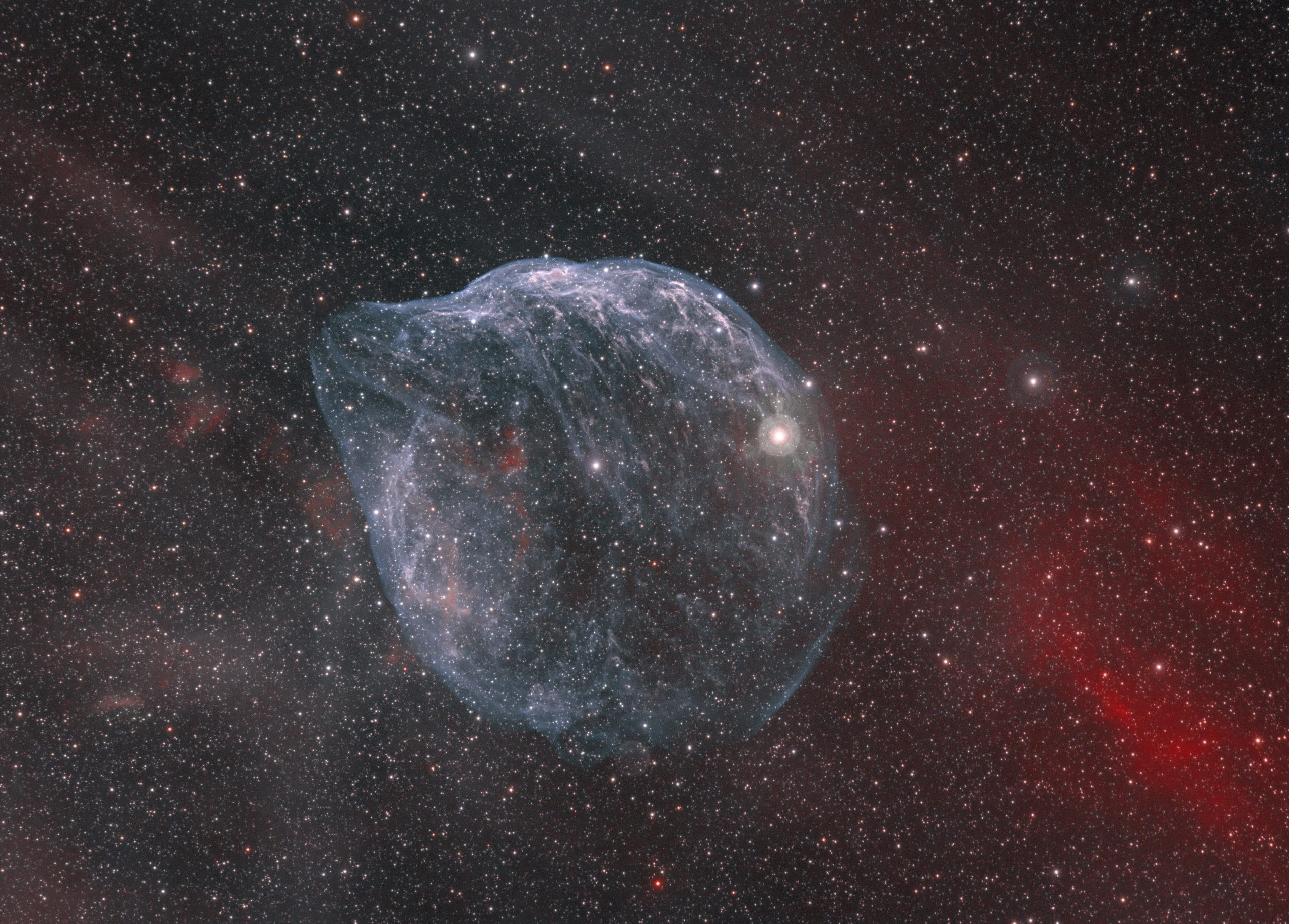 Dolphin Nebula