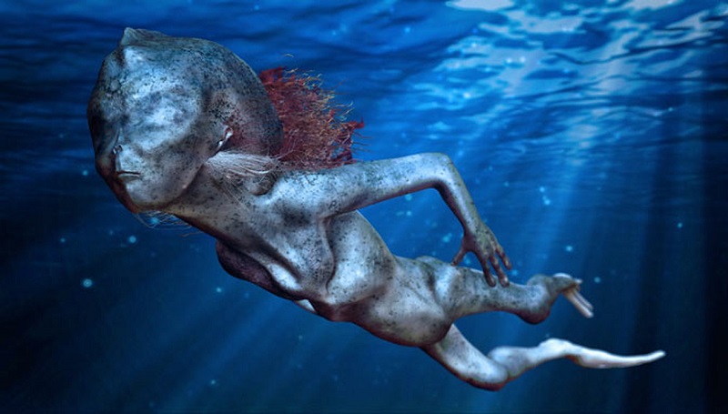 Un chinois enflamme la toile avec l’image d’un poisson au visage d ...