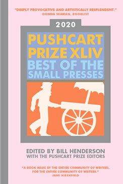 pushcart prize cover