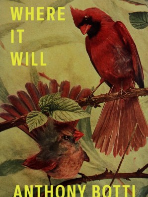 Where it Will by Anthony Botti