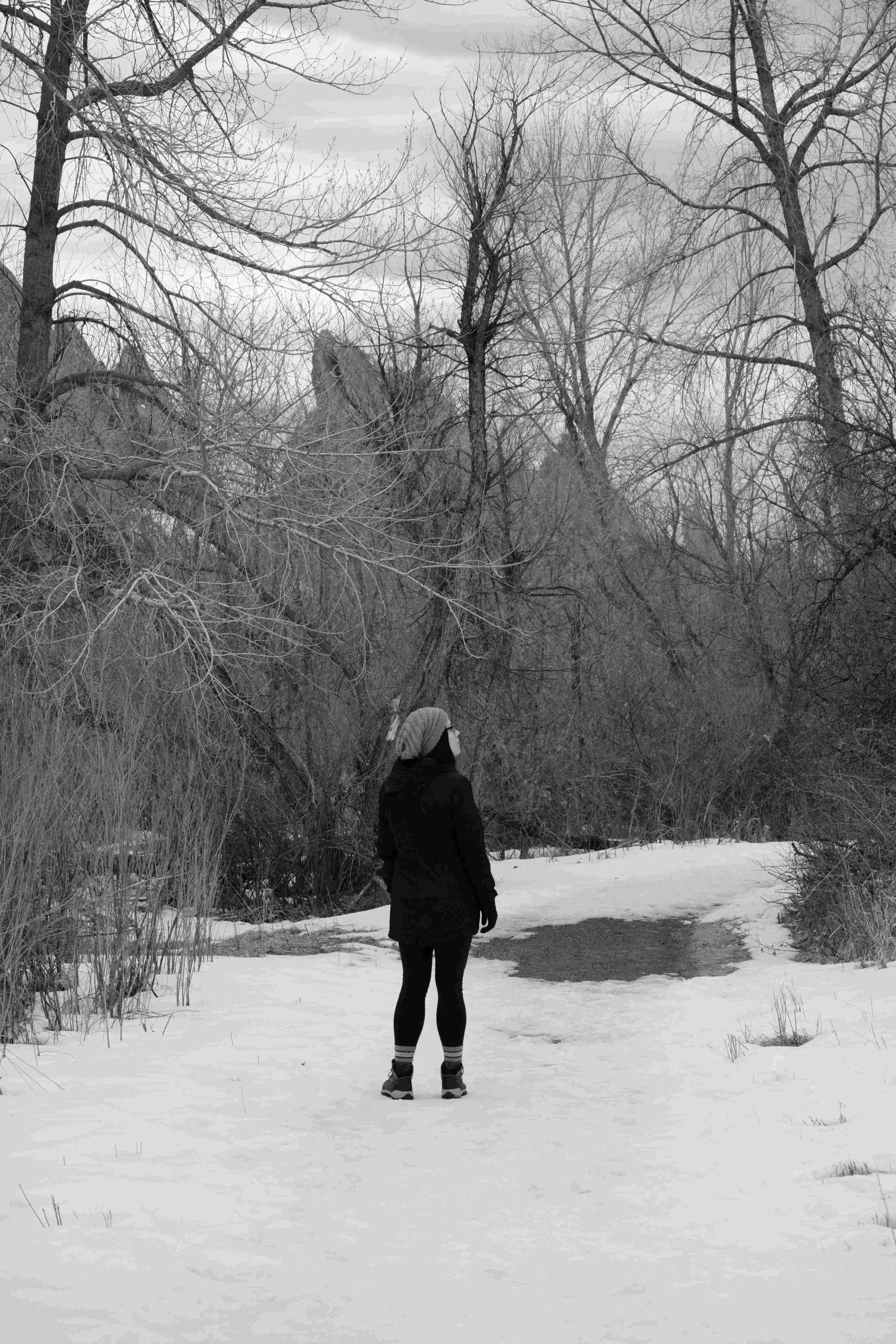 black and white photo of woman in black clothes with her back to the camera, wearing a white knit cap standing in the snow in front of trees