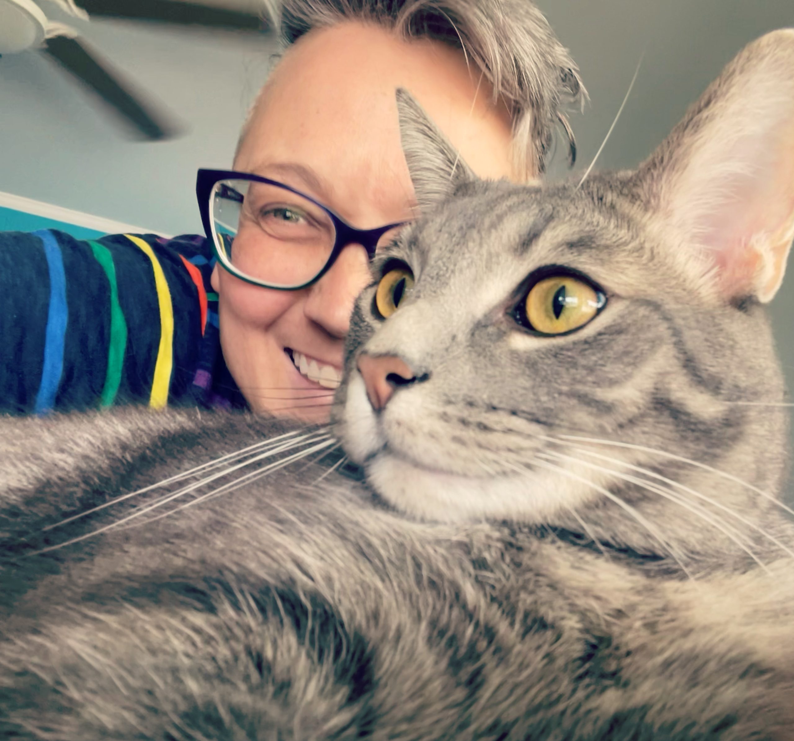 a grey and black striped cat looking left with the face of a person behind the cars wearing glasses and smiling