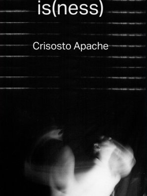 is(ness) by Crisosto Apache