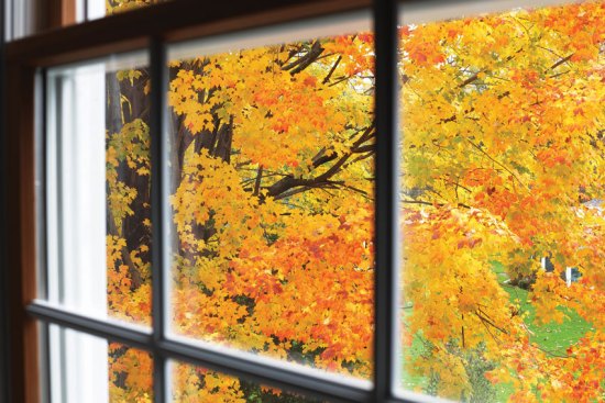How to Choose Replacement Windows